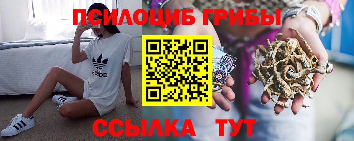 Псилоцибиновые грибы прущие грибы  Псилоцибиновые грибы Psilocybe  Выборг  Вход с VPN 